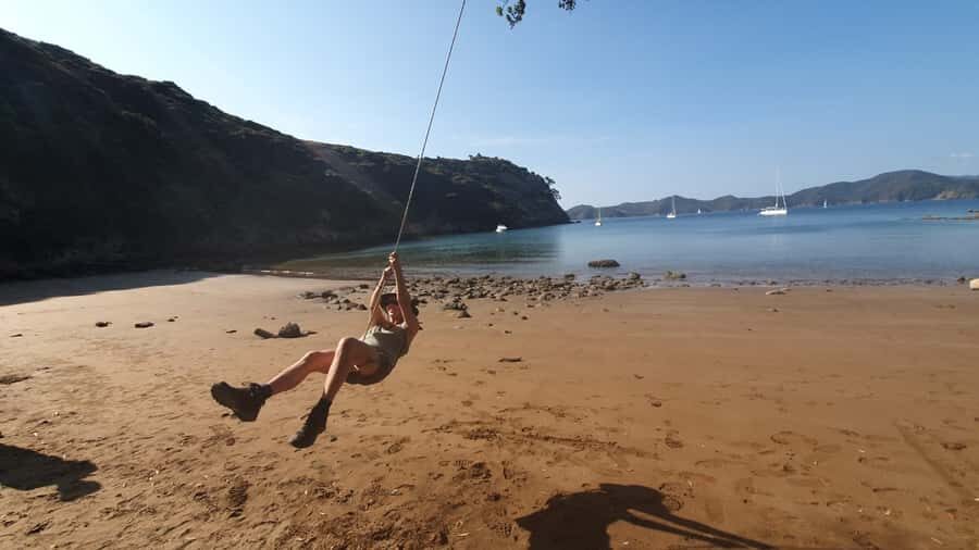 Waiheke Island: Gulf Marine Park Sailing Adventure & Lunch - Swimming, snorkelling, and stand-up paddleboarding in the Hauraki Gulf