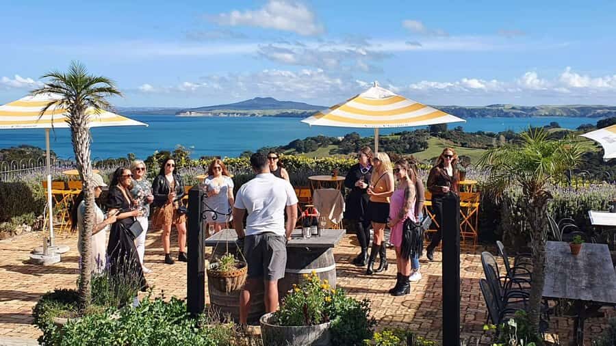 Waiheke Island: Scenic Island Wine Tour & Local Wine Tasting - How Waiheke turns into a wine day (without a rental car)