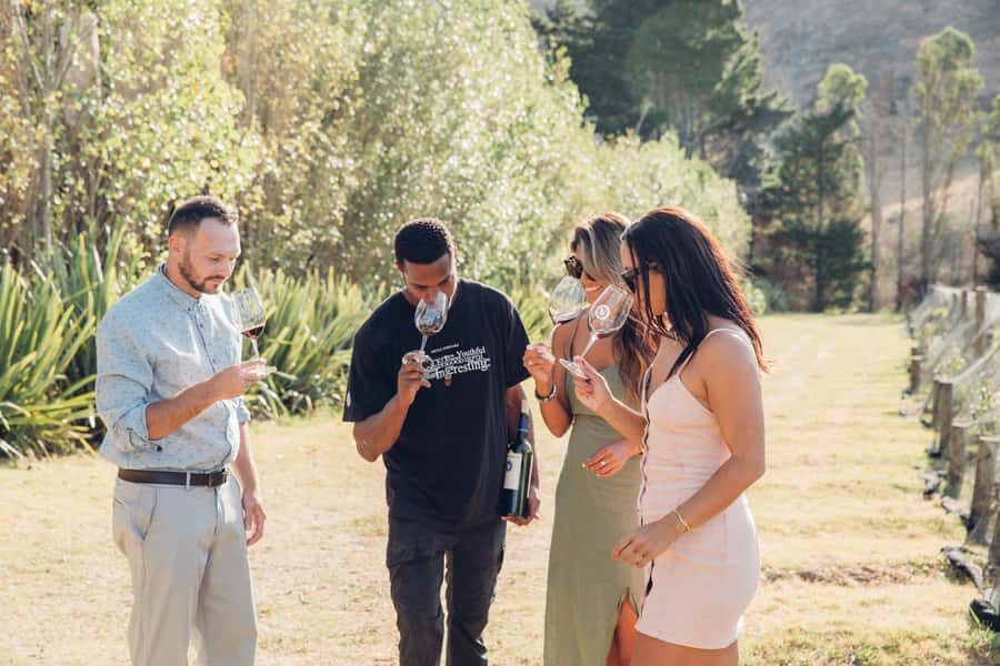 Waiheke Island: Scenic Island Wine Tour & Local Wine Tasting - Pickup and the Matiatia start: easy access to the day
