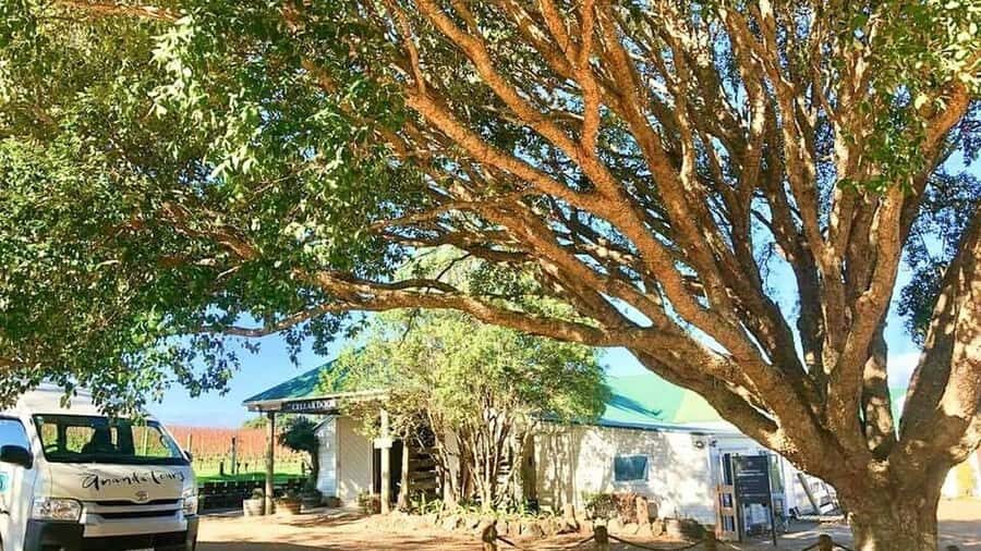 Waiheke Island: The Essence of Waiheke Wine Tour - Value Check: Is $164 for a Waiheke Wine Tour Reasonable?