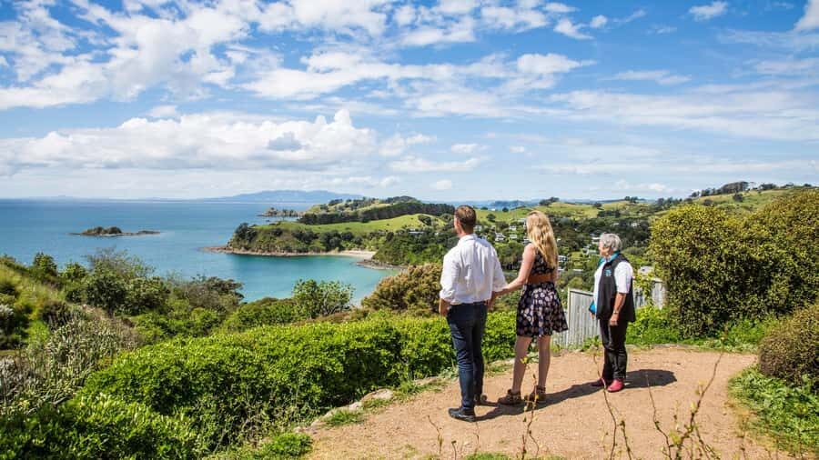 Waiheke Island: The Essence of Waiheke Wine Tour - Who Should Book This (and Who Should Skip It)