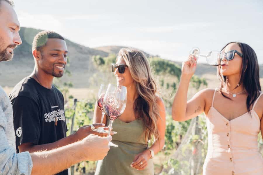 Waiheke Island: Wine Tour & Lunch at Award Winning Venue - Riding the Van: Why the Local Guide Makes the Difference
