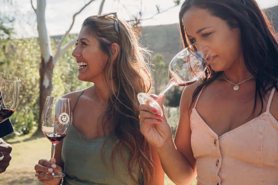 Waiheke Island: Wine Tour & Lunch at Award Winning Venue - Vineyard Stop 1: First Tastings in Onetangi Valley