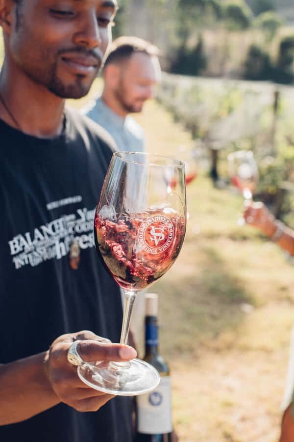 Waiheke Island: Wine Tour & Lunch at Award Winning Venue - Value Check: Is $173 Reasonable for This Package?