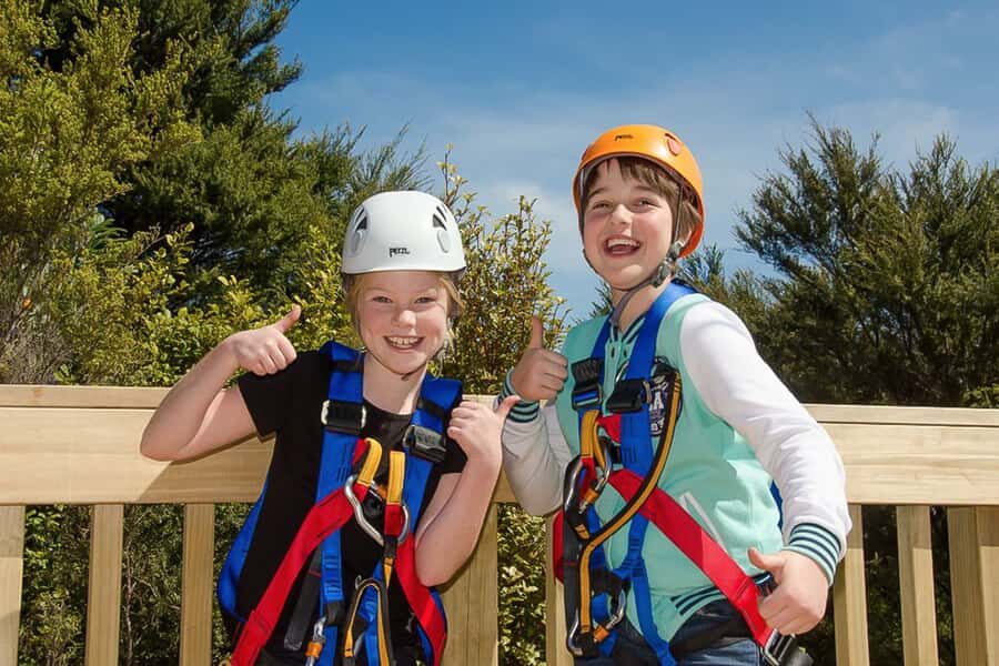 Waiheke Island: Zipline and Native Forest Adventure Trip - The three dual zipline runs: 650 feet at a time