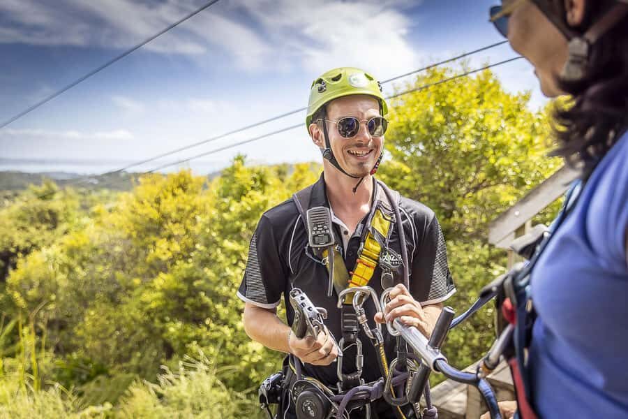 Waiheke Island: Zipline and Native Forest Adventure Trip - After the zips: the guided forest walk back