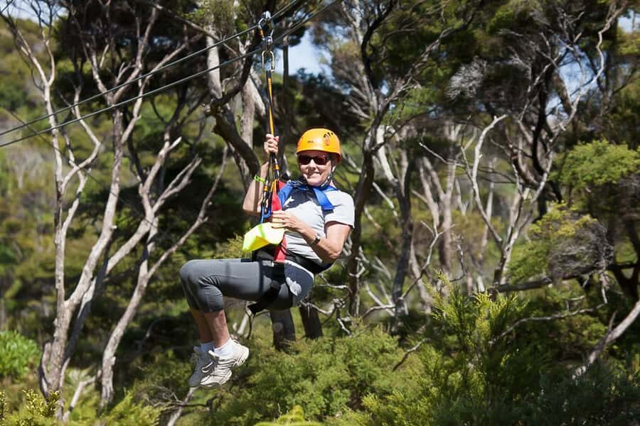 Waiheke Island: Zipline and Native Forest Adventure Trip - Who should book this zipline adventure (and who should skip it)