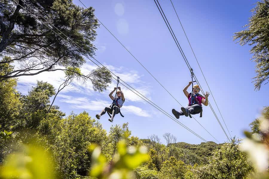 Waiheke Island: Zipline and Native Forest Adventure Trip - Getting to EcoZip: Matiatia meeting and the Waiheke timing reality