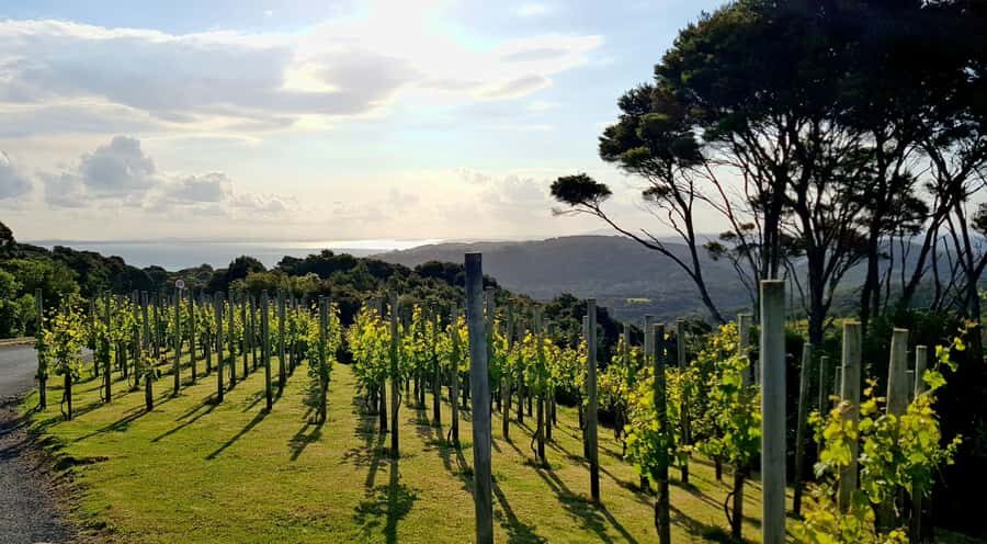 Waiheke: Scenic Taste and Graze Tour with Wine, Whisky, Beer - The Heke Kitchen, Brewery & Distillery: where beer and whisky/spirits steal the show