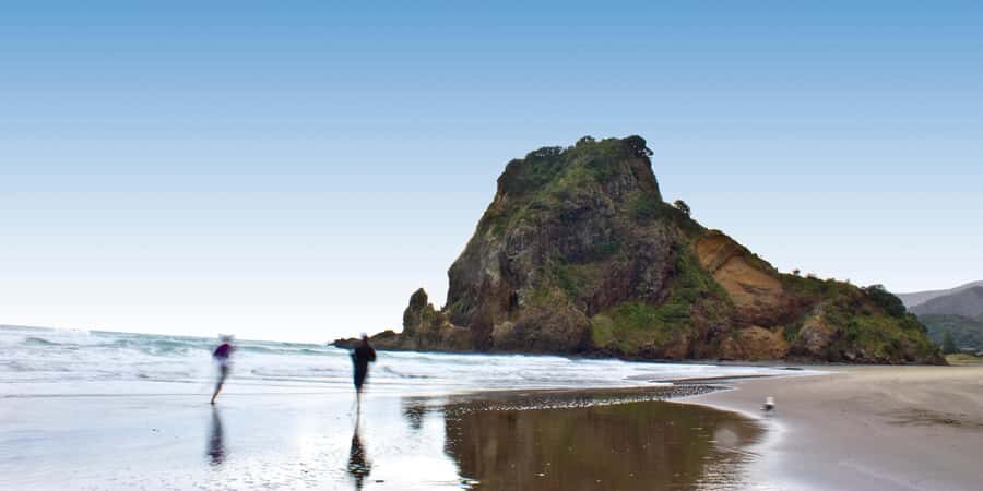 Waitakere Ranges Wilderness Experience Tour from Auckland - Key things you’ll notice on this Waitakere + Piha half-day