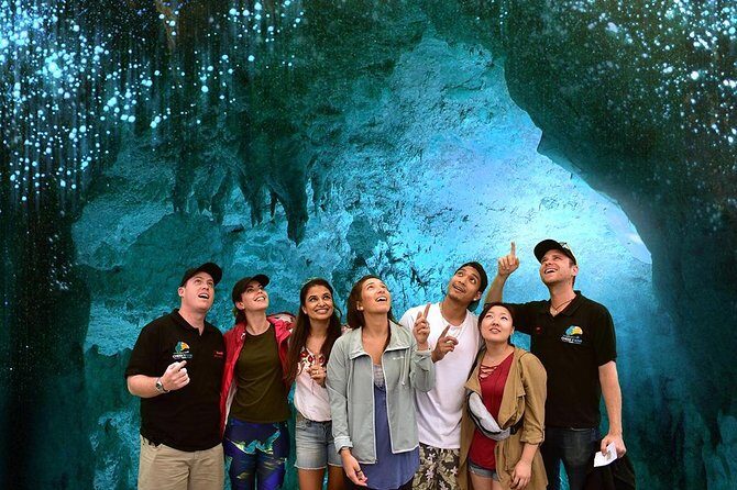 Waitomo Caves & Hobbiton Small Group Tour inc Lunch from Auckland - Who will love this tour most (and who should think twice)