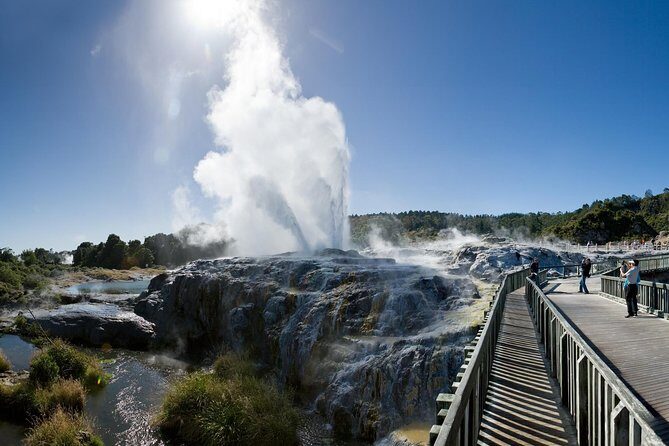 Waitomo Caves Private Driver for Tour - Pickup and Drop-Off From Hotels or Cruise Ports