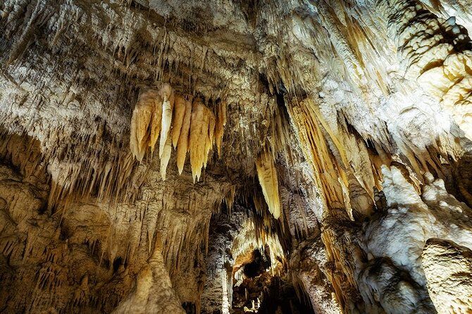 Waitomo Caves & Rotorua - Te Puia Small-Group Tour from Auckland - The early schedule: starting at 6:00 am and managing a 13-hour day
