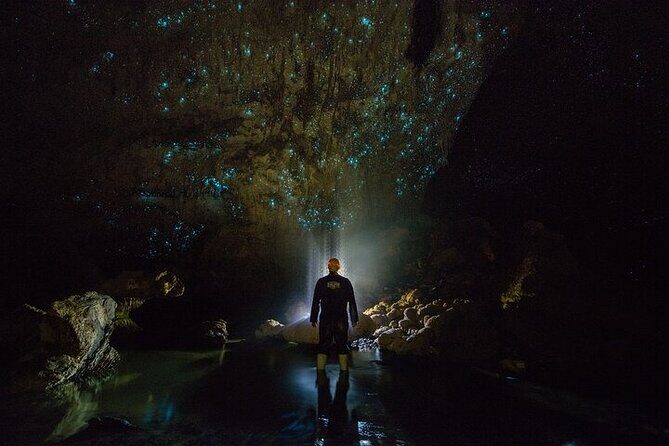 Waitomo Glow Worm Caves - Key things to know before you go