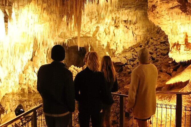 Waitomo Glow Worm Caves - Timing, group size, and why the day feels well paced (or not)