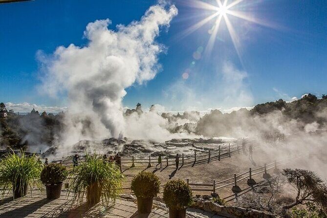 Waitomo Glow Worm Caves & Te Puia - Rotorua's Geothermal Valley - Key highlights at a glance