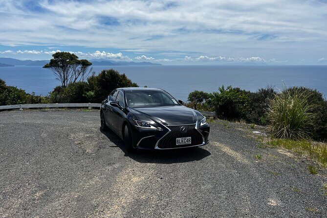 Waitomo Glowworm Caves In a Private Small Group Tour-Auckland. - Glowworms + a dedicated driver: the easy way to reach Waitomo