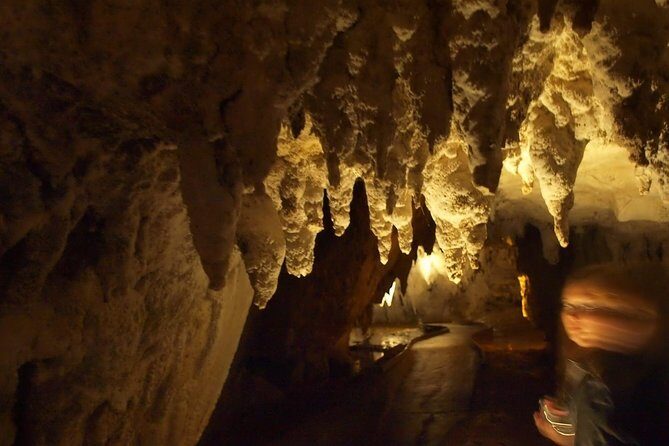 Waitomo Glowworm Caves In a Private Small Group Tour-Auckland. - Inside Waitomo: two cave levels and your 45-minute Glowworm Grotto boat ride