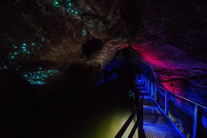 Waitomo Glowworm & Ruakuri Twin Cave Experience - Small Group Tour From Auckland - A Full Day Under the Earth: How the Timing Feels From Auckland