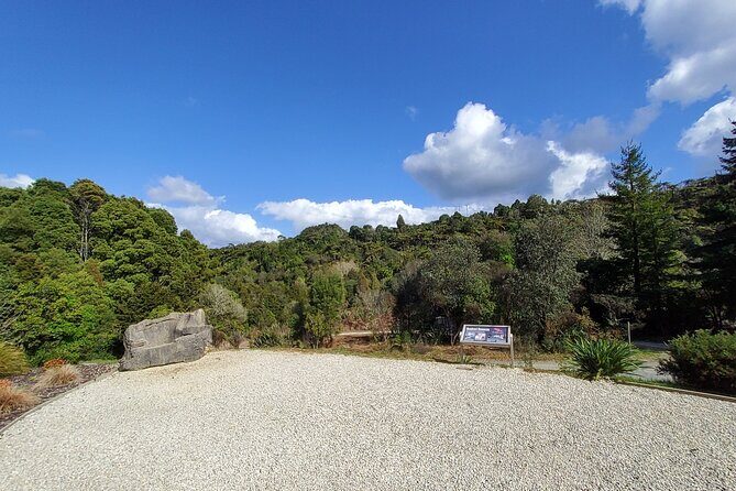 Waitomo Glowworm & Ruakuri Twin Cave Experience - Small Group Tour From Auckland - Waitomo Glowworm Caves: The Boat Ride and Cathedral Cave Acoustics