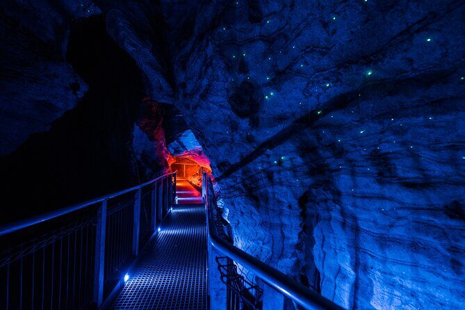 Waitomo Glowworm & Ruakuri Twin Cave Experience - Small Group Tour From Auckland - Price and Value: Does €244.43 Make Sense for a One-Day Combo?
