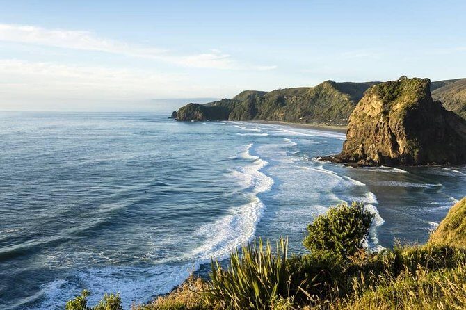 West Coast Discovery - Piha Beach or Muriwai Beach from Auckland - Key Things To Know Before You Go