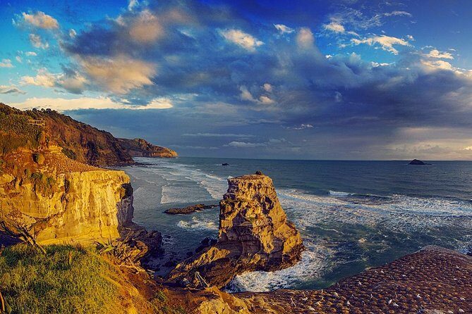 West Coast Discovery - Piha Beach or Muriwai Beach from Auckland - Muriwai Gannet Colony: Seabirds, Flax Framing, and Coastal Drama