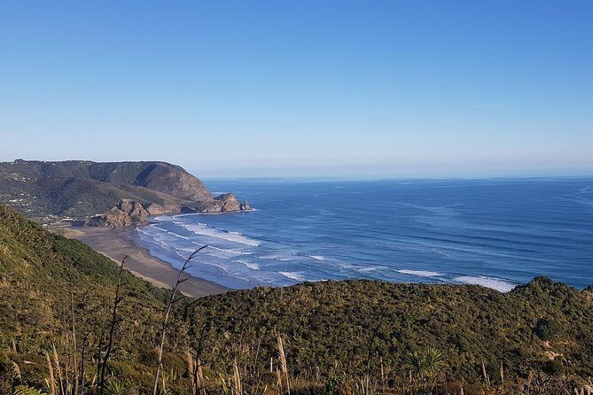 West Coast Discovery - Piha Beach or Muriwai Beach from Auckland - Arataki Centre: Your First Big Views of Tasman and Pacific