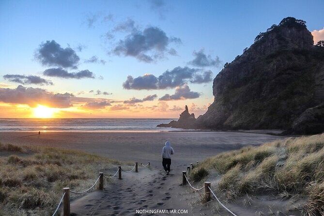 West Coast Discovery Piha Beach Private Tour - Piha Beach: Black Sand, Lion Rock, and Photo-Friendly Stops