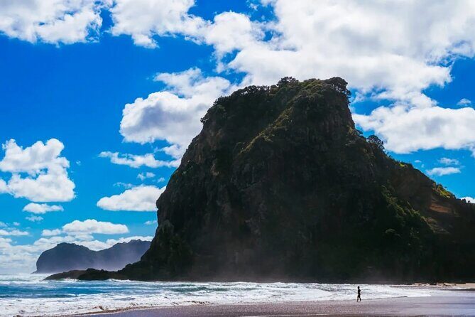 West Coast Discovery Piha Beach Private Tour - Arataki Visitor Centre: Waitakere Ranges Views and Maori Heritage Learning