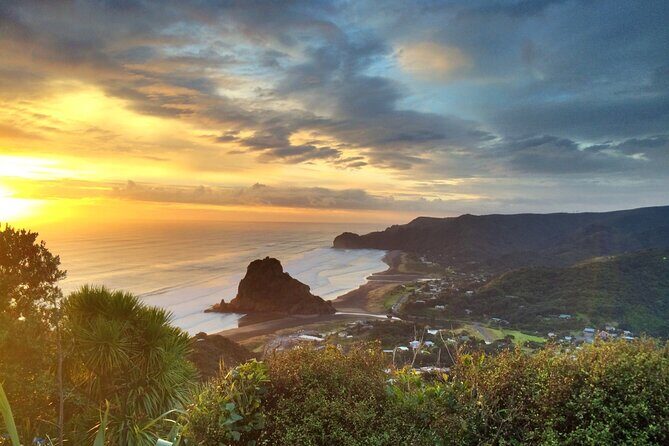 West Coast Discovery Piha Beach Private Tour - Winery Stop: Wine Tasting With Lunch After a Wild-Coast Day
