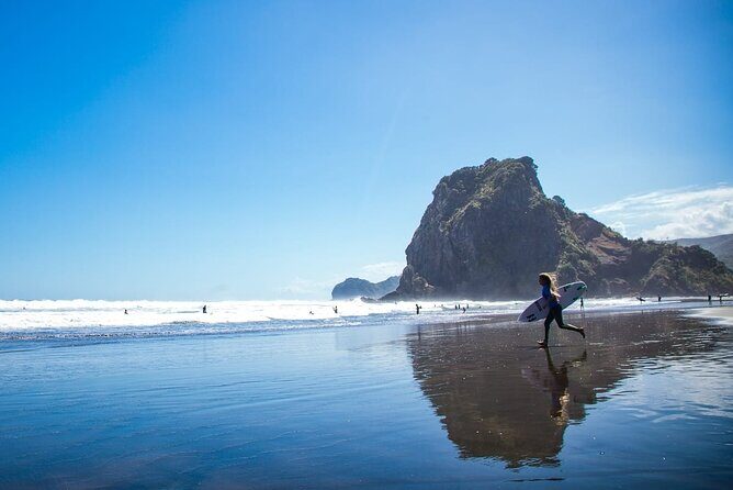 West Coast Discovery Piha Beach Private Tour - Price and Value: What $351.80 Gets You in a Private Tour Day