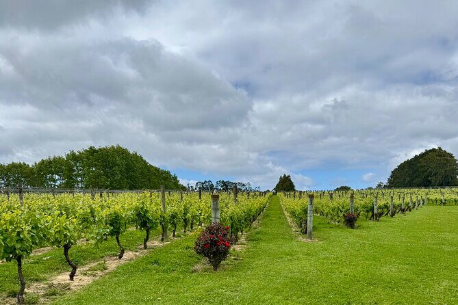 Wineries / Brewery - Weather and route changes: why good conditions matter here